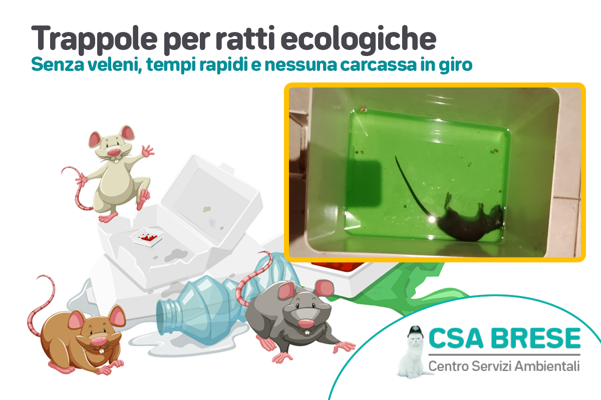 Trappole per ratti ecologiche